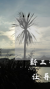 新三板法规:全国中小企业股份转让系统转让异常情况处理办法(试行)