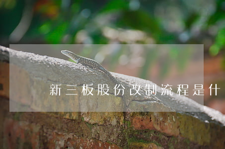 新三板股份改制流程是什么