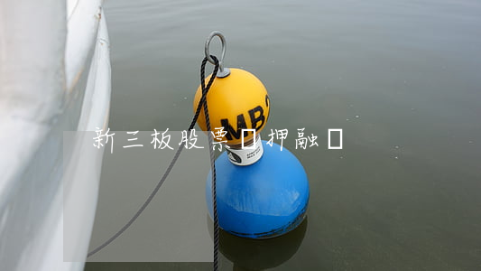 新三板股票質押融資