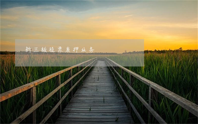 新三板股票质押业务