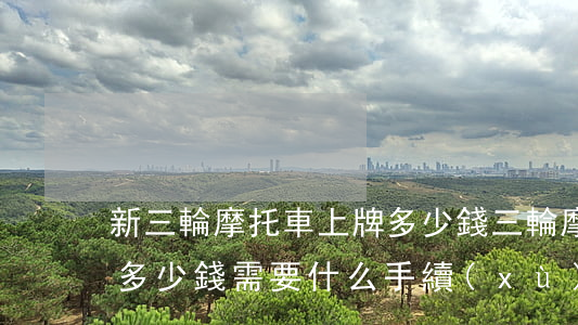 新三輪摩托車上牌多少錢(三輪摩托上牌需要多少錢需要什么手續(xù))