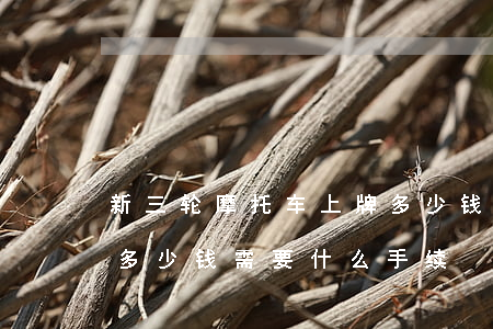 新三轮摩托车上牌多少钱(三轮摩托上牌需要多少钱需要什么手续)
