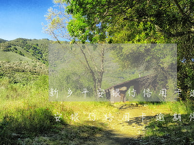 新乡平安银行信用卡逾期停息挂账-新乡平安银行信用卡逾期停息挂账怎么办
