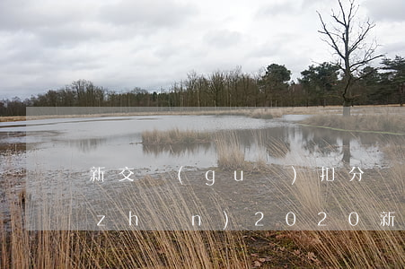 新交規(guī)扣分標(biāo)準(zhǔn)(2020新交規(guī)扣分標(biāo)準(zhǔn))