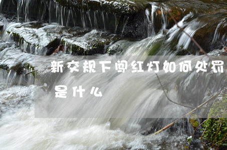 新交规下闯红灯如何处罚（闯红灯处罚的依据是什么）