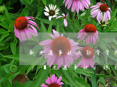 新交通事故法肋骨骨折幾根能評(píng)殘(交通事故6根肋骨骨折傷殘鑒定標(biāo)準(zhǔn)及賠償)