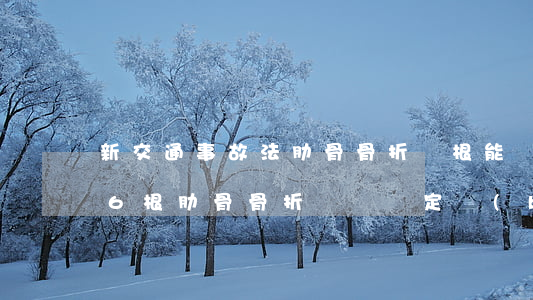 新交通事故法肋骨骨折幾根能評殘(交通事故6根肋骨骨折傷殘鑒定標(biāo)準(zhǔn)及賠償)