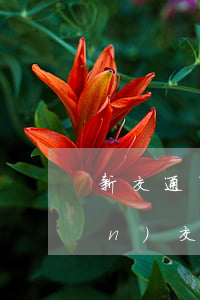 新交通事故賠償標(biāo)準(zhǔn)(交通事故賠償明細(xì)表)