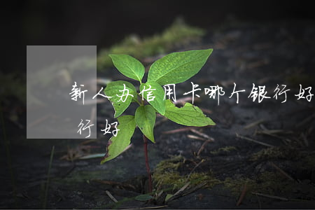 新人办信用卡哪个银行好（新手信用卡哪个银行好）