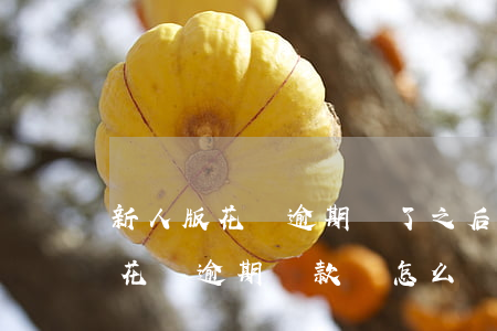 新人版花唄逾期還了之后還能用嗎-新人版花唄逾期還款會怎么樣