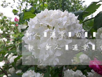 新人開通京東白條優(yōu)惠完接著還款-新人開通京東白條優(yōu)惠完接著還款可以嗎