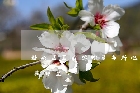 新会区医疗律师事务所地址(新洲律师事务所在哪里)