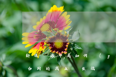 新保險法中是如何規(guī)定人身保險合同的成立與生效
