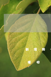 新信用卡逾期上門催收(欠信用卡第三方上門催收)