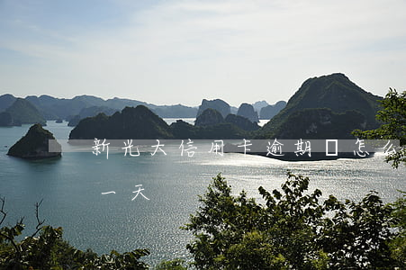 新光大信用卡逾期會怎么樣(光大信用卡 逾期一天)