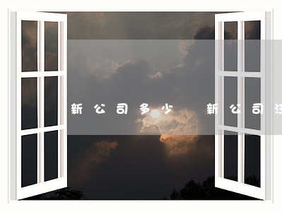 新公司多少錢(新公司注冊(cè)需要多少錢)