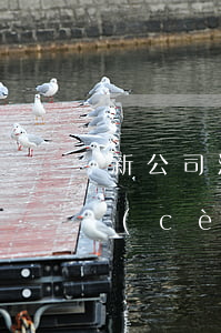 新公司注冊(cè)流程及步驟(新公司注冊(cè)流程及步驟2021)