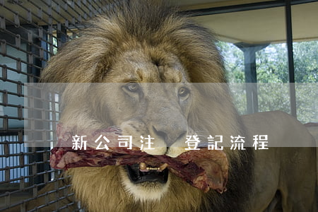 新公司注冊登記流程