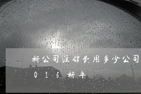 新公司注销费用多少(公司注销流程及费用2015新年)