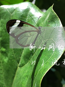 新公司的注冊流程(公司注冊的相關(guān)流程)