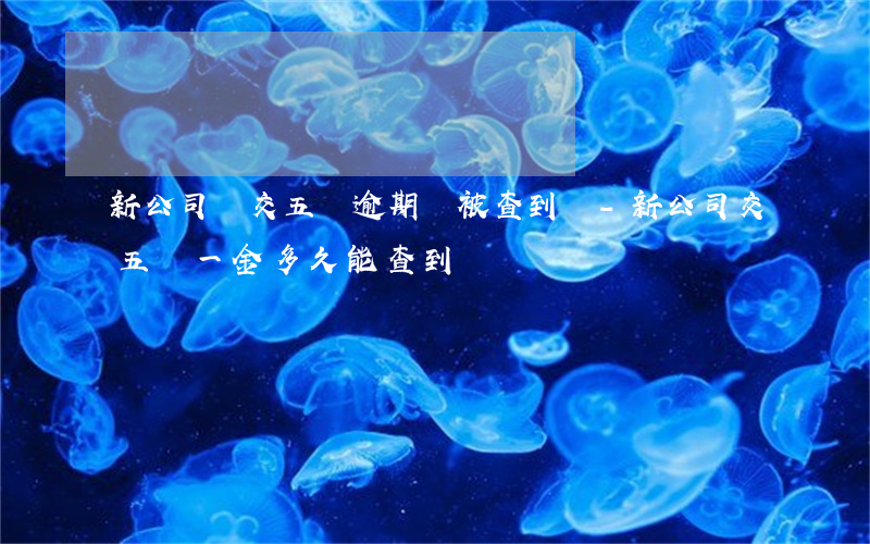 新公司給交五險逾期會被查到嗎-新公司交五險一金多久能查到
