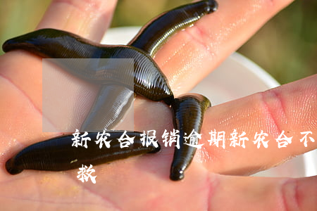 新农合报销逾期(新农合不报销过期了如何补救)