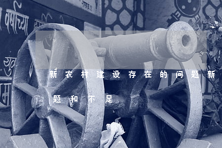 新农村建设存在的问题(新农村建设存在的问题和不足)