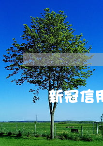 新冠信用卡逾期上岸
