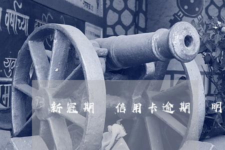 新冠期間信用卡逾期說明