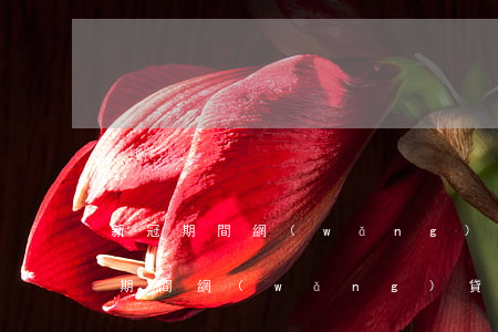 新冠期間網(wǎng)貸逾期怎么辦(新冠期間網(wǎng)貸逾期怎么辦)