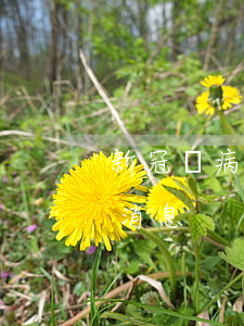 新冠狀病毒期信用卡逾期(冠狀病毒感染最新消息)