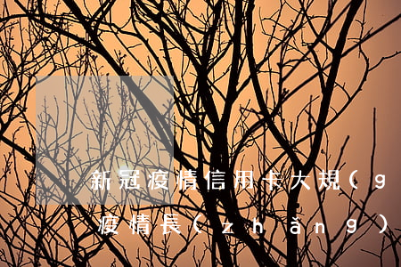 新冠疫情信用卡大規(guī)模逾期(新冠疫情長(zhǎng)期存在)