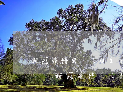 新冠疫情欠網(wǎng)貸還不起的人可恥嗎(新冠疫情對(duì)貸款的影響)