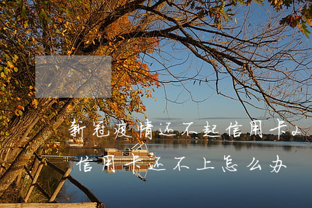 新冠疫情还不起信用卡(2021年疫情期间信用卡还不上怎么办)