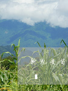 新冠疫苗已逾期(新冠疫苗逾期接種有沒有影響)