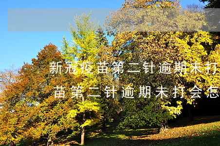 新冠疫苗第二针逾期未打会怎么样-新冠疫苗第二针逾期未打会怎么样吗