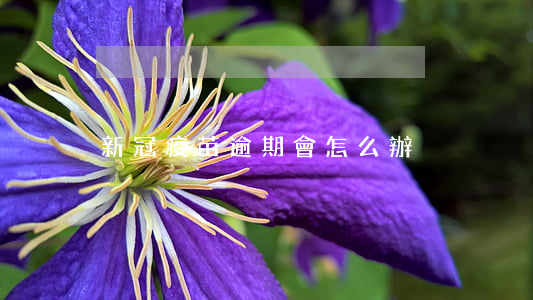 新冠疫苗逾期會怎么辦