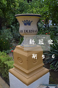 新冠逾期56天報(bào)表教程(新冠逾期56天報(bào)表教程)