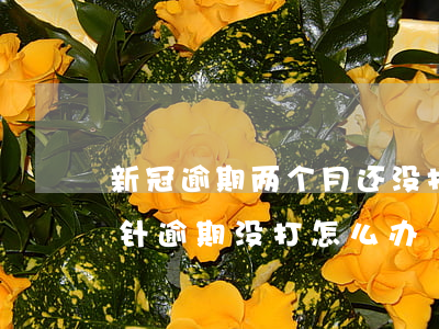 新冠逾期两个月还没打怎么办(新冠疫苗第二针逾期没打怎么办)