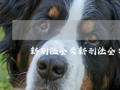 新刑法全文,新刑法全文 开设赌场 新刑法全文,新刑法全文 开设赌场