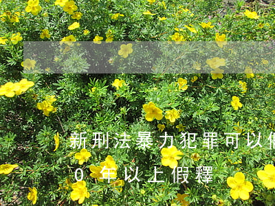 新刑法暴力犯罪可以假釋嗎(暴力犯罪并罰10年以上假釋)
