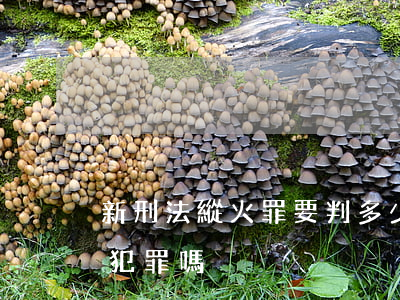 新刑法縱火罪要判多少年（放火行為沒完成是犯罪嗎）