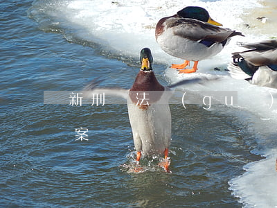 新刑訴法規(guī)定律師可查看全部卷案