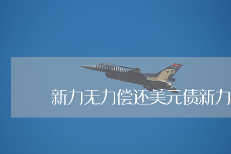 新力无力偿还美元债 新力控股集团美元债