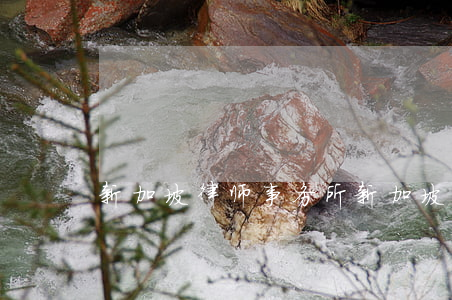 新加坡律师事务所(新加坡律师事务所工资)