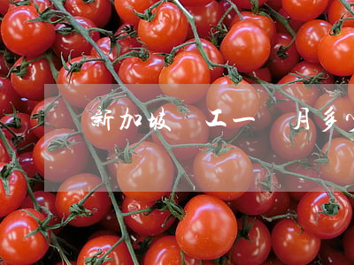 新加坡護工一個月多少錢