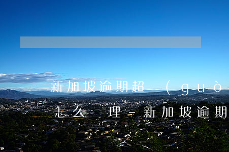 新加坡逾期超過(guò)2個(gè)月怎么處理-新加坡逾期超過(guò)2個(gè)月怎么處理的