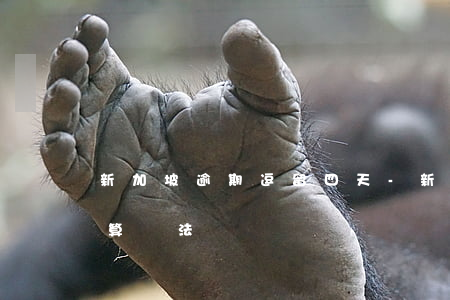 新加坡逾期逗留四天-新加坡逾期逗留多久算違法