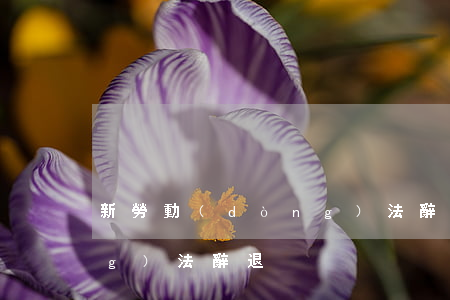 新勞動(dòng)法辭退(新勞動(dòng)法辭退)