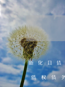 新化县债权债务纠纷律师预约面谈-新化县债权债务纠纷律师预约面谈电话